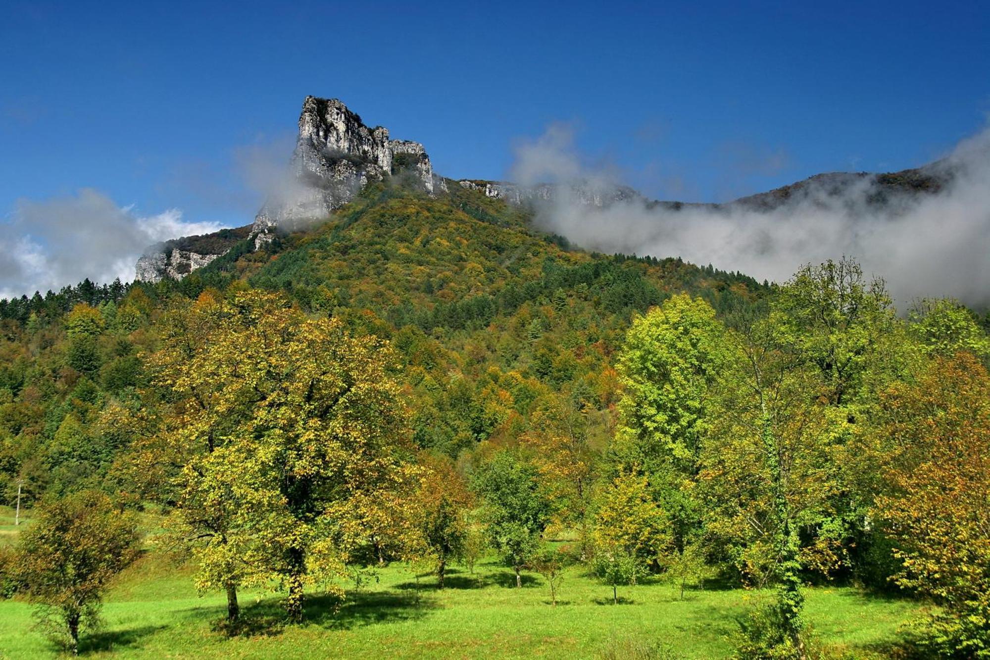 Hotel Kovac Osilnica Екстериор снимка